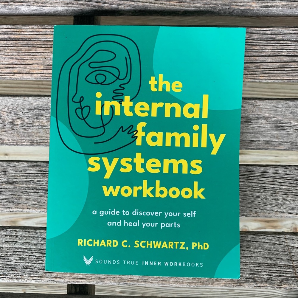 The Internal Family Systems Workbook Richard C Schwartz PhD IFS Guide 2024 NEW